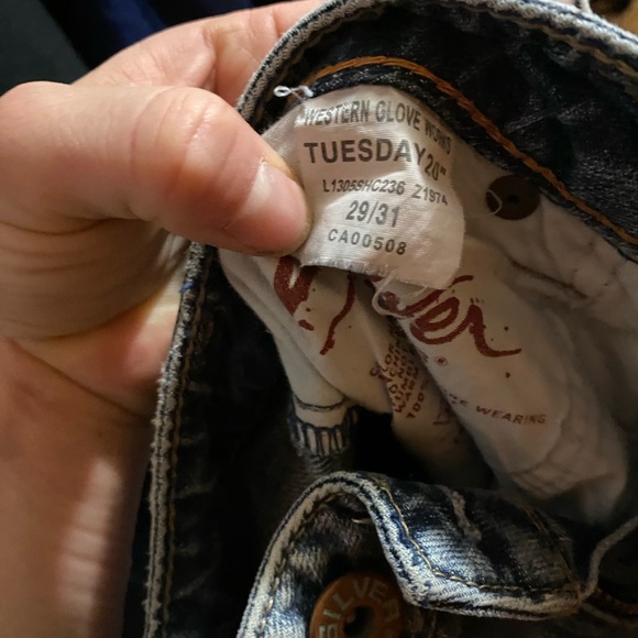 Silvers - Picture 4 of 4